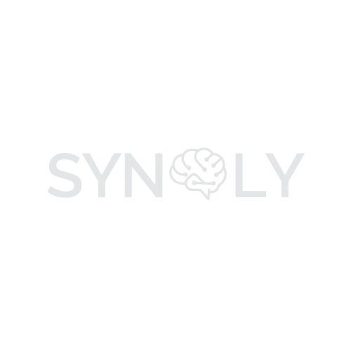 Synqly Logo